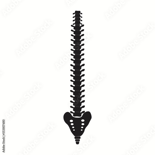 Human spine icon. Simple illustration of human spine icon for web design isolated on white background