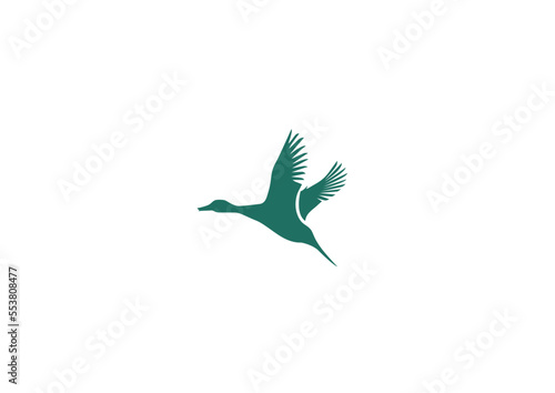 Flying duck silhouette 