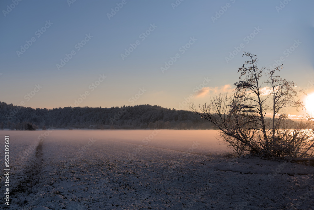 Rising mist over grazing marsh, covered with the first snow at sunset in winter. Rising mist over grazing marsh, covered with the first snow at sunset in winter.
