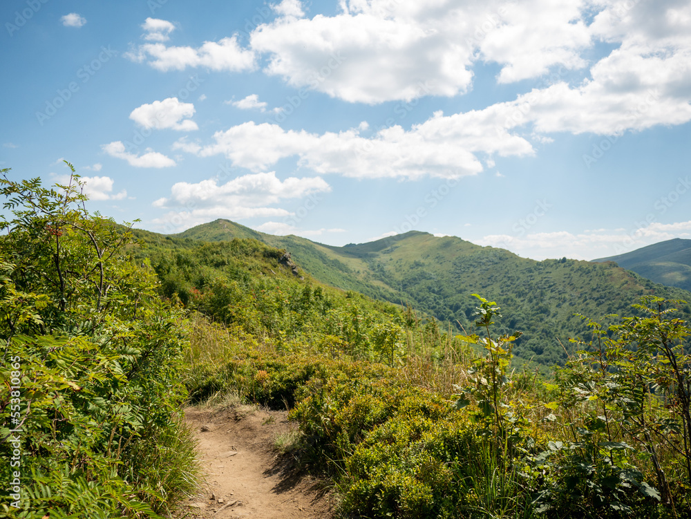 hiking trail with shrubs and panorama view