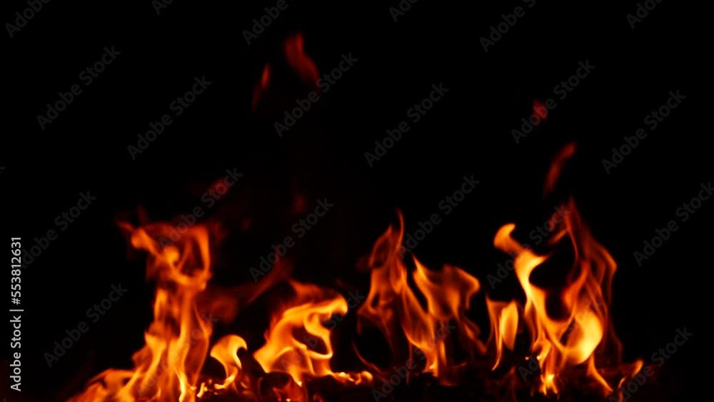 Fire burning vigorously tall red flame effect in darkness Fire burning vigorously tall red flame effect in darkness