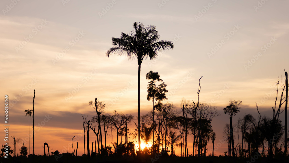 Obraz premium Sundown