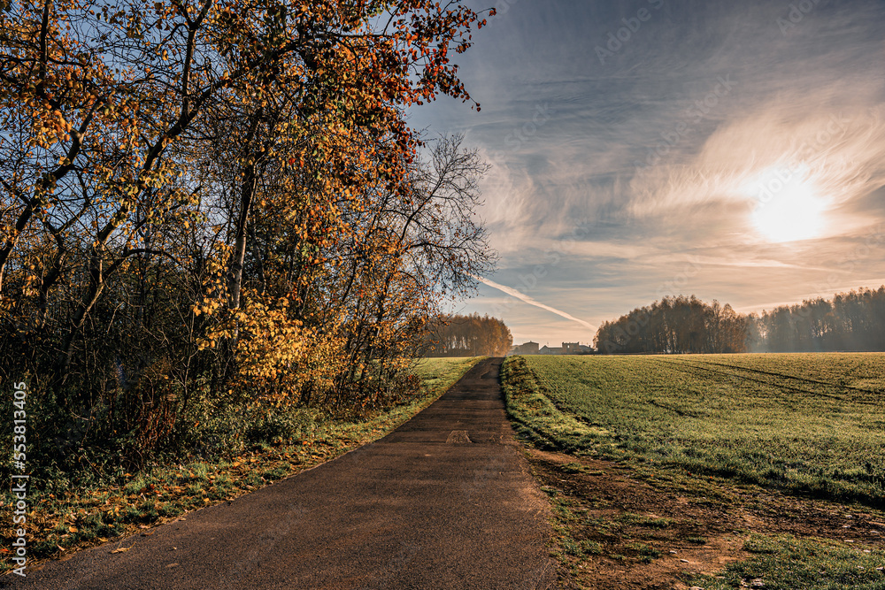 Wąska wiejska droga jesienią na Śląsku w Polsce - obrazy, fototapety, plakaty 