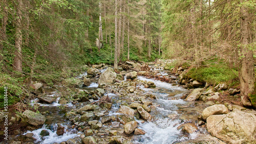 A beautiful mountain stream. Mountain river. Forest.