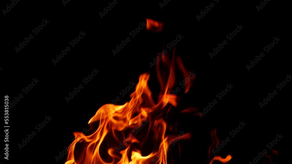 Fire burning vigorously in darkness red flame effect Fire burning vigorously in darkness red flame effect