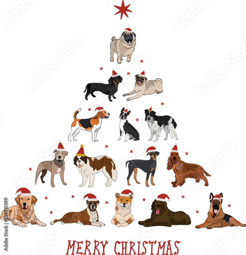 Christmas greeting card with dogs, holiday design. funny cartoon different dog breeds illustrations. Dog pets in Santa hats. New Year card. Boxer, pug, Shiba Inu, Golden, Dachshund, Spaniel, Beagle.