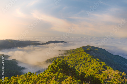 view of the sea of ​​clouds from the top of the Garajonay national park. La Gomera. Canary Islands