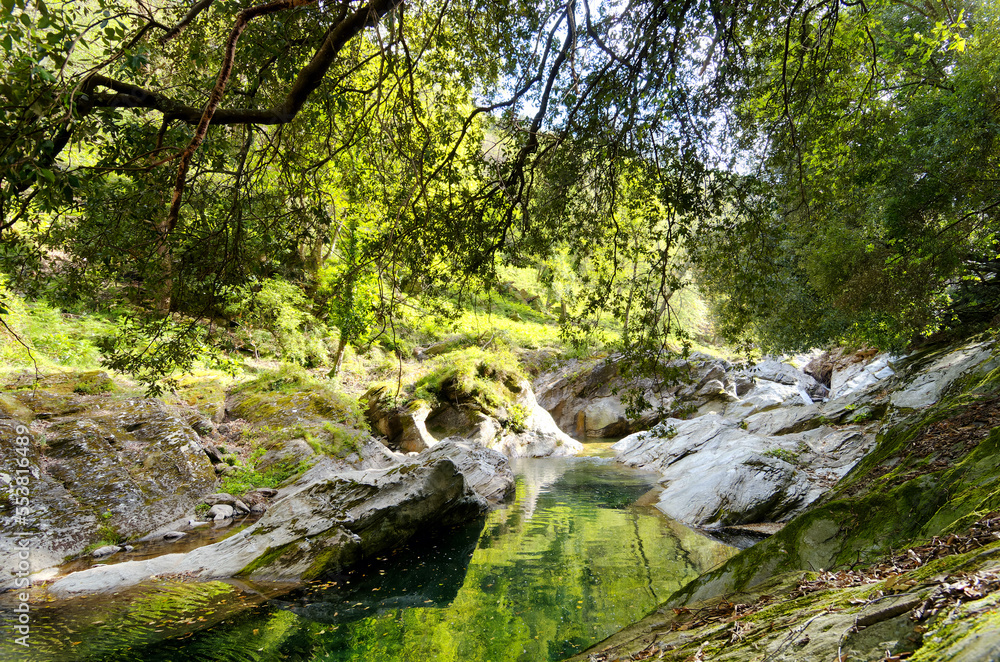 Fototapeta premium Petrignani river in Upper Corsica mountain