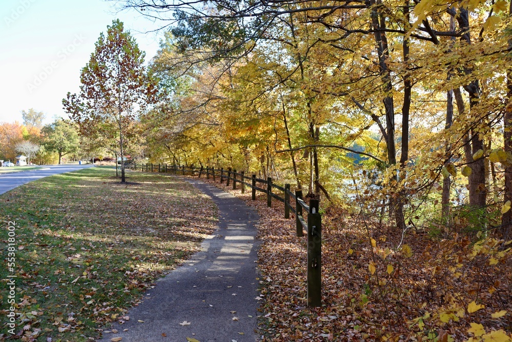 The empty walkway in the park on a autumn day.