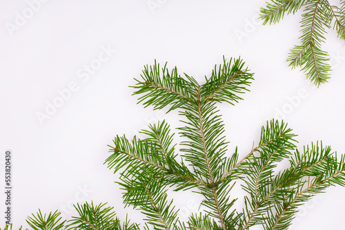 Festive xmas background. Merry christmas background. Fir branches christmas tree  great design for any purposes. 