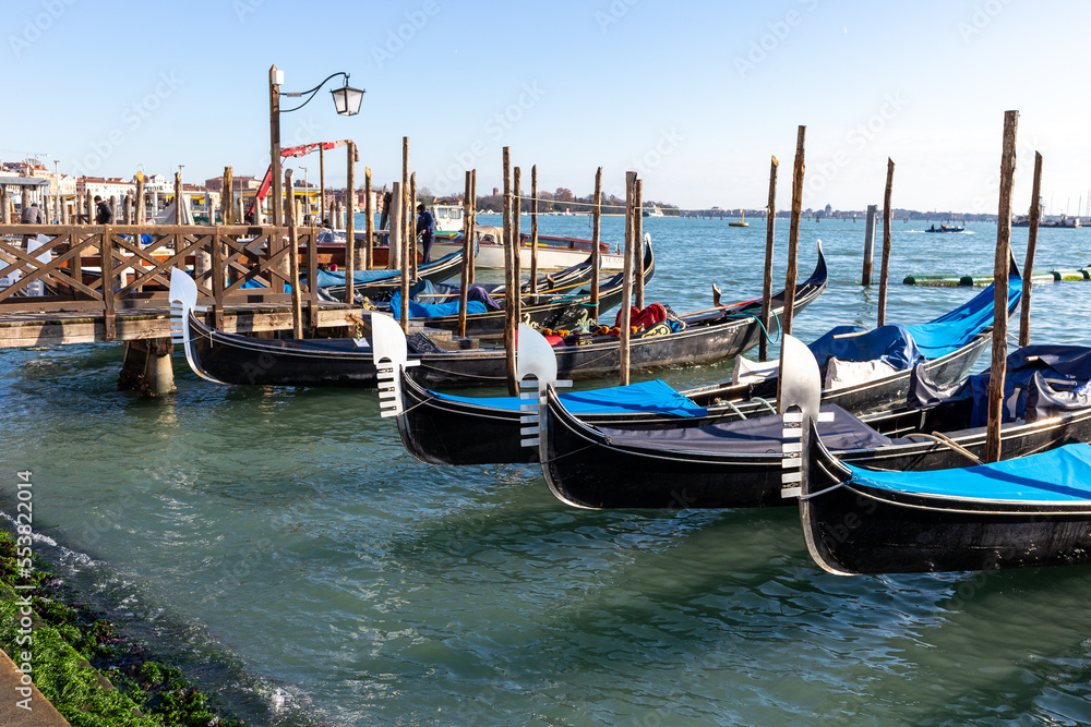 Venice, its characteristic architecture and gondolas, which enrich its magnificent scenery.