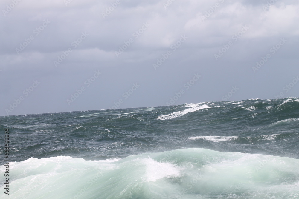 Fototapeta premium waves