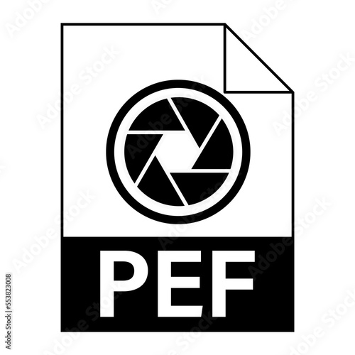 Modern flat design of PEF file icon for web photo