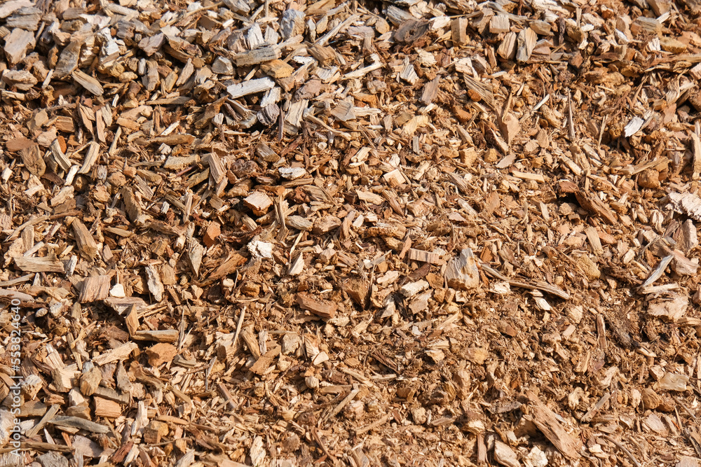Großer Haufen frisch gehäckselter Holzhackschnitzel unterschiedlicher Größen, selektiver Fokus, Copy Space, Draufsicht Großer Haufen frisch gehäckselter Holzhackschnitzel unterschiedlicher Größen, selektiver Fokus, Copy Space, Draufsicht