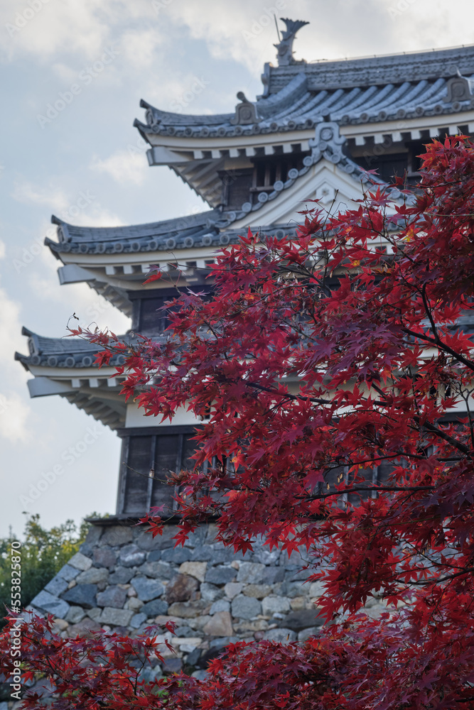 紅葉と日本の城　西尾城　縦位置