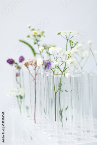 Concept of biology and chemistry research with flowers