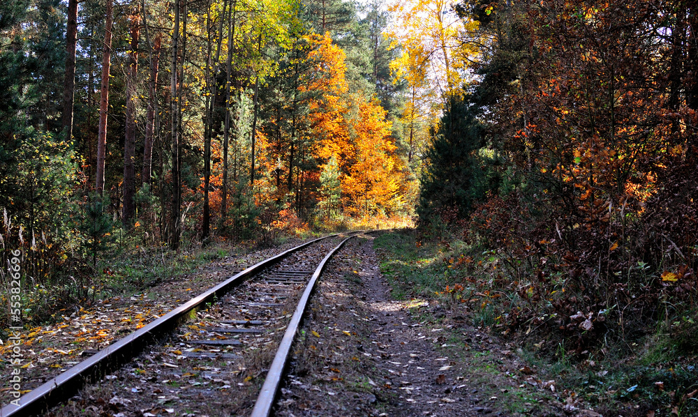 Railway line in the forest. Autumn landscape.
