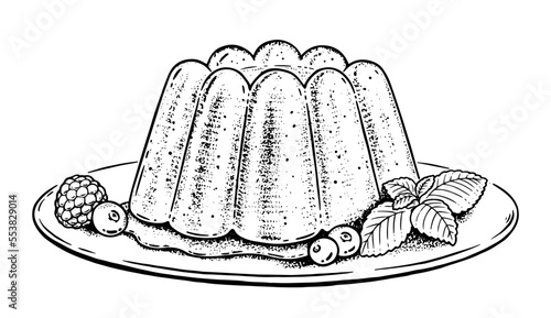 Vector illustration of Jelly on plate. Vintage style drawing isolated on white background.