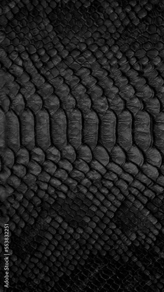 snake skin texture closeup background Vertical video snake skin texture closeup background Vertical video