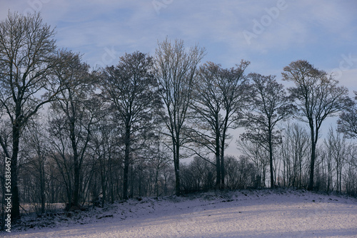 rural winter landscape with trees photo