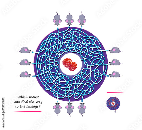 Best labyrinths. Which mouse can find the way to the sausage? Logic puzzle game. Brain teaser book with maze. Kids activity sheet. Educational page for children. Play online. Vector illustration.