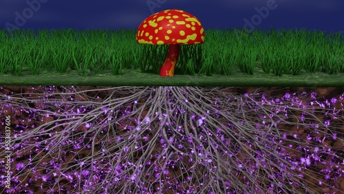 Mycelium network, fungal root system underground. Mushrooms above ground, root system below. Common mycorrhizal network transfer of information, nutrients and signals in earth. 3d render illustration