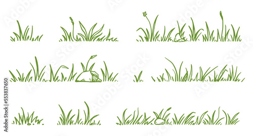 Grass doodle sketch style set. Hand drawn green grass field outline scribble background. Sprout  flower  clover elements. Vector illustration.