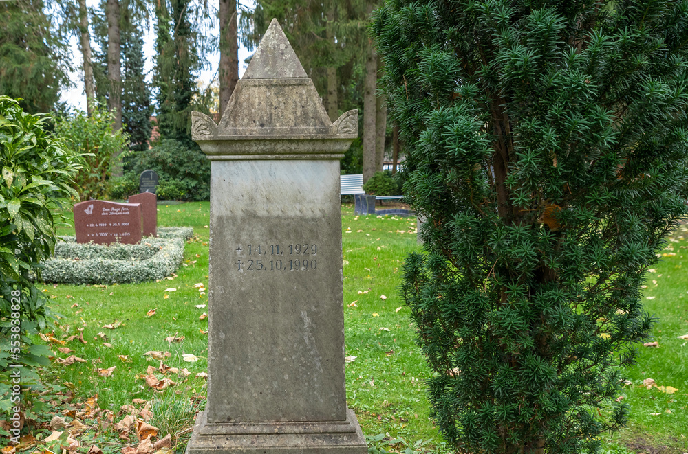 alter Grabstein neben einem Lebensbaum auf einem Friedhof in Hamburg alter Grabstein neben einem Lebensbaum auf einem Friedhof in Hamburg