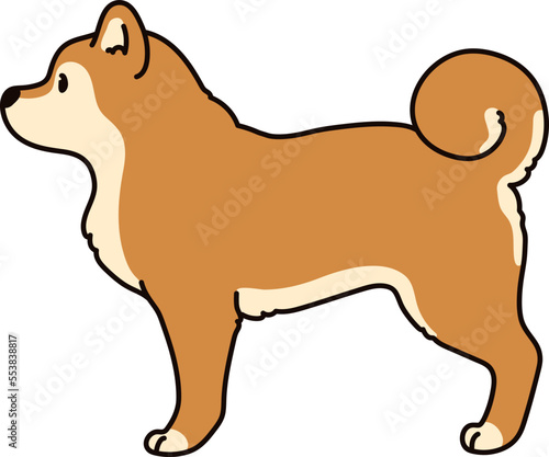 Simple and cute illustration of Shiba Inu in side view