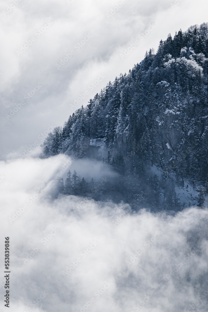 Forested mountain side covered in snow, disappearing in fog