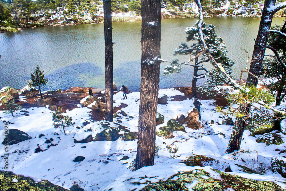 lake on winter with snow covered pine trees, lake arareco in creel chihuahua lake on winter with snow covered pine trees, lake arareco in creel chihuahua