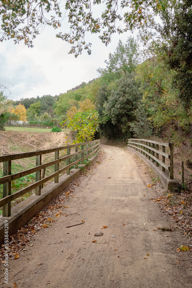Puente con vayas a ambos lados en un camino de tierra que sigue el sendero por la montaña de Cataluña para seguir el río en un ambiente verde.