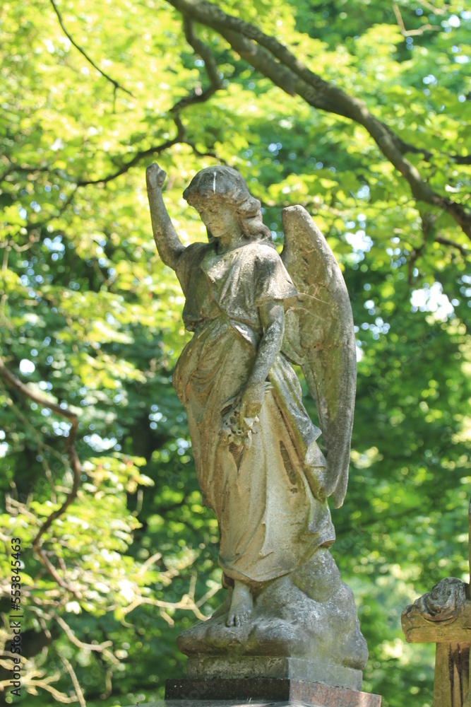 cementery in Hull UK cementery in Hull UK