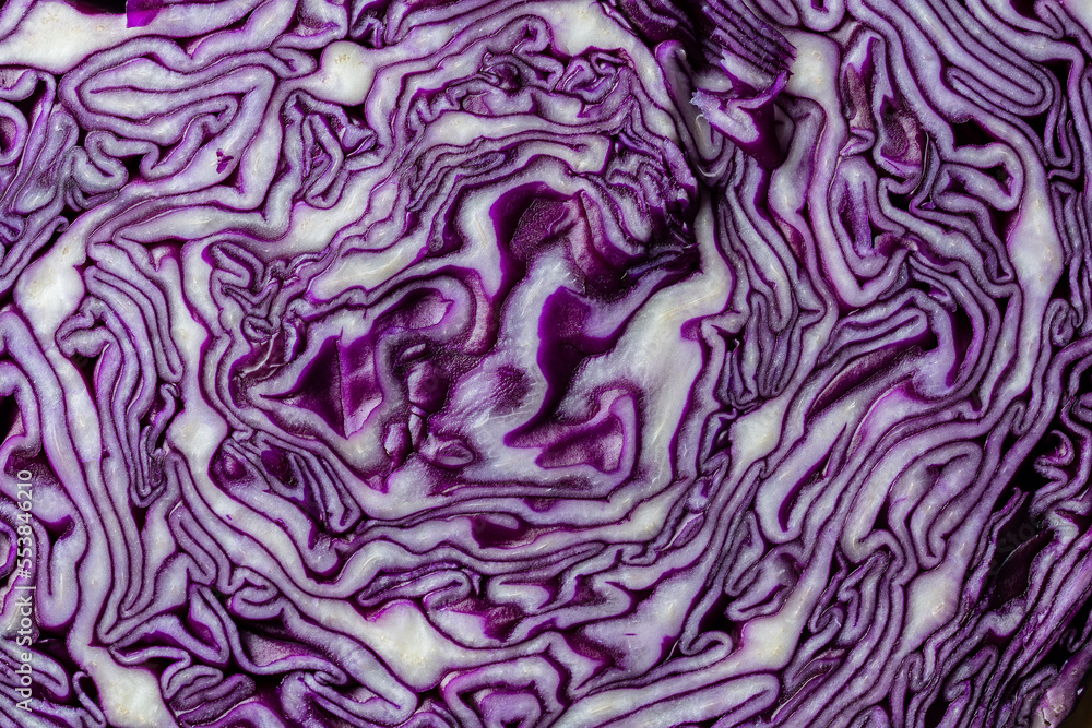 Background of blue cabbage in a section, macro photography. Closeup, top view. Texture and pattern of raw purple cabbage Background of blue cabbage in a section, macro photography. Closeup, top view. Texture and pattern of raw purple cabbage