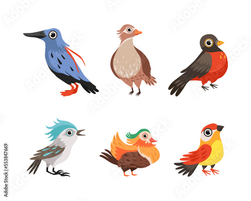 Bird as Winged Feathered Aves with Beaked Jaw Vector Set