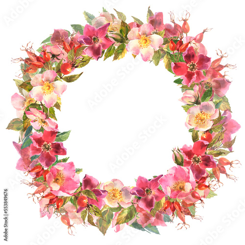 Watercolor rose hip wreath. Flowers, leaves and fruits of wild roses. Watercolor illustration isolated on white background.