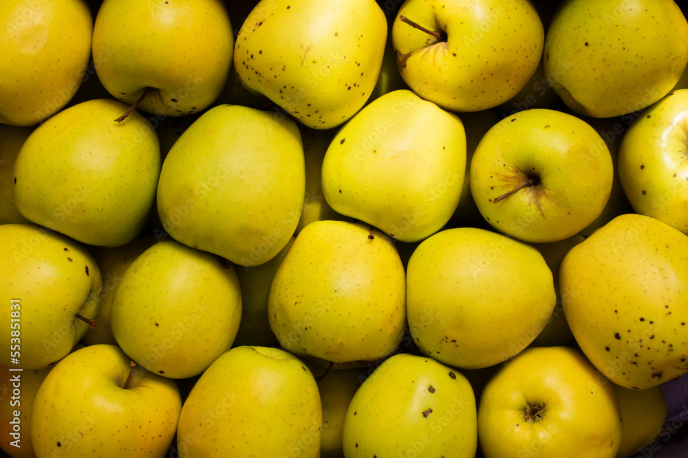 close-up a lot of golden apples in a box close-up a lot of golden apples in a box