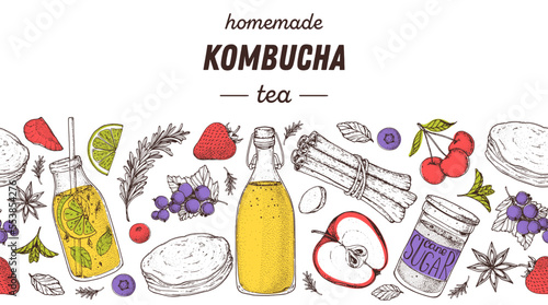 Kombucha tea and ingredients for kombucha sketch. Hand drawn vector illustration. Kombucha drink. Tea mushroom, tea fungus, or Manchurian mushroom.