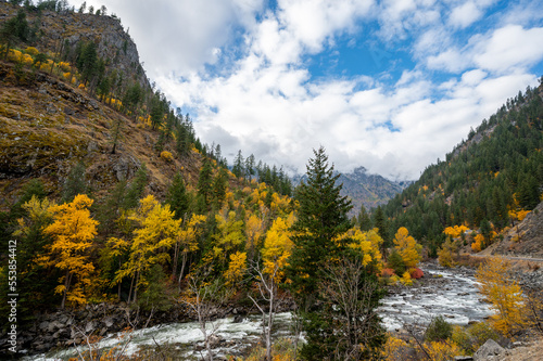 Pacific Northwest Fall