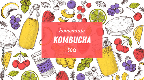 Kombucha tea and ingredients for kombucha sketch. Hand drawn vector illustration. Kombucha drink. Tea mushroom, tea fungus, or Manchurian mushroom.