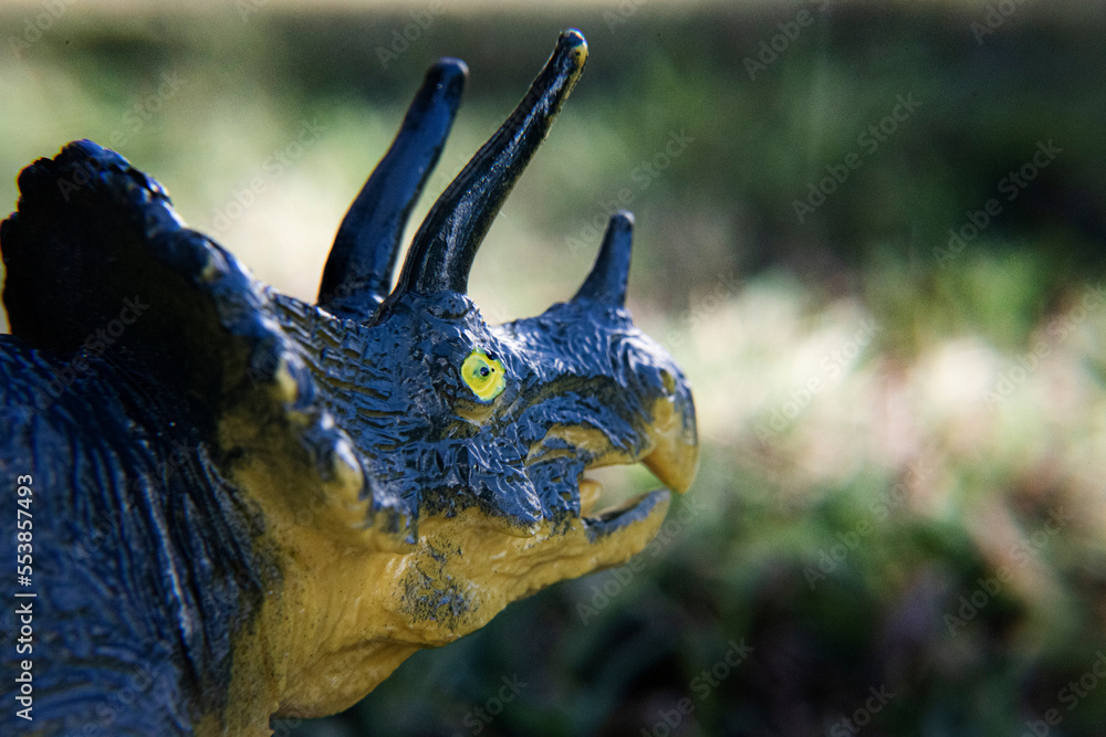 toy triceratops with blue and yellow coloring, Triceratops is a herbivore dinosaur from the Cretaceous period, horns on its head used dueling and protection.