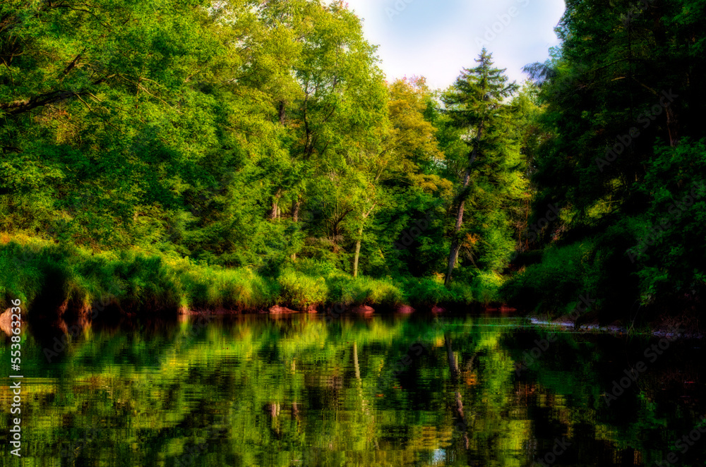Lush green reflections on Blackwater River Lush green reflections on Blackwater River