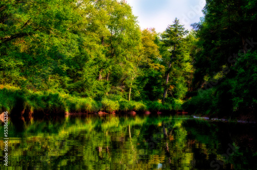 Lush green reflections on Blackwater River