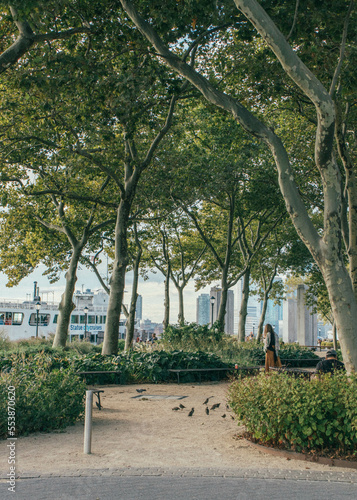 Person and pigeons at Battery Park, trees and pedestrian walkway  (ID: 553870620)