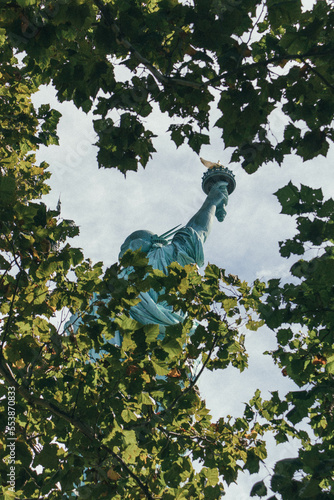 Statue of Liberty back between trees (ID: 553870833)