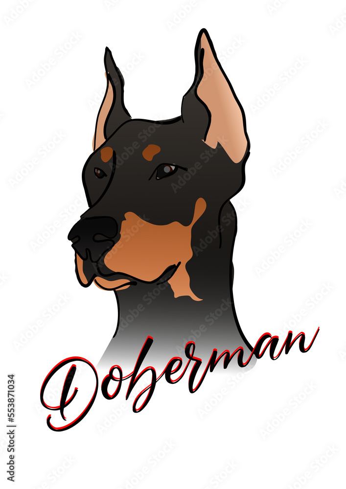 doberman pinscher guard dog illustration