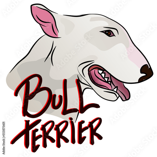 illustration with bull terrier vector