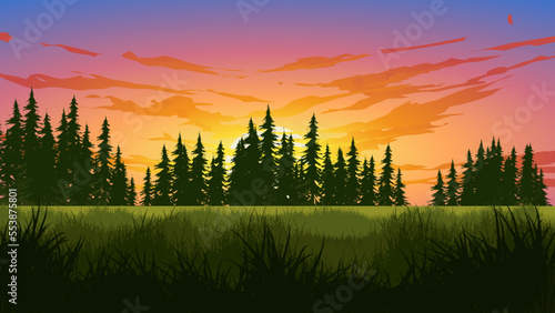 Early morning sunrise over pine forest with meadow