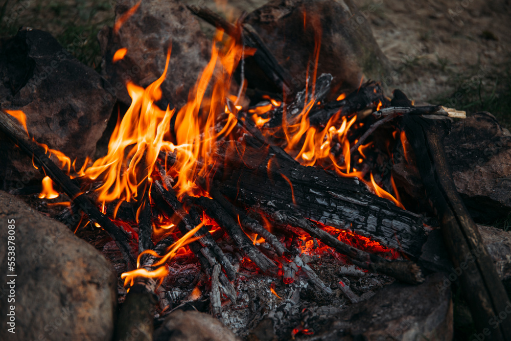 fire in the forest fire in the forest