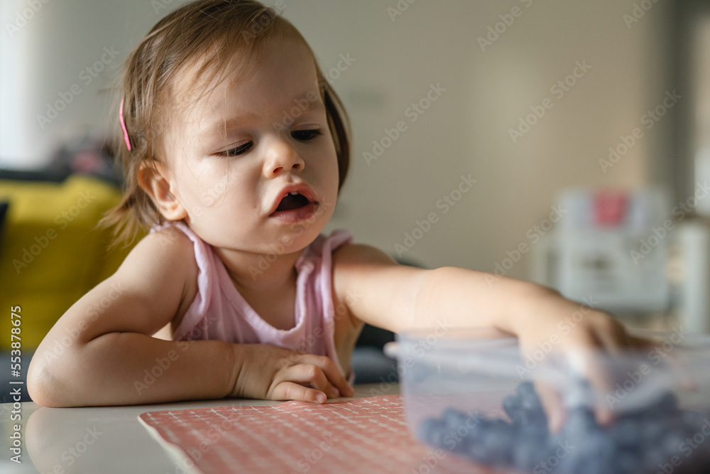 One girl child toddler small caucasian female daughter one year old sitting at the table in summer day at home eating blueberries fruit from bowl alone childhood growing up concept real people One girl child toddler small caucasian female daughter one year old sitting at the table in summer day at home eating blueberries fruit from bowl alone childhood growing up concept real people